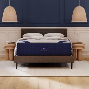 DreamCloud Mattresses Review