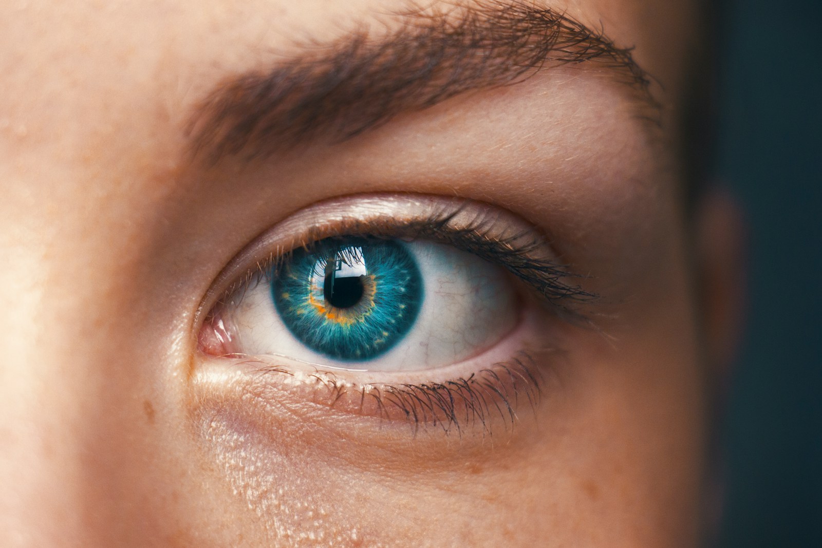 Macular Degeneration: Signs, Symptoms, and Treatment